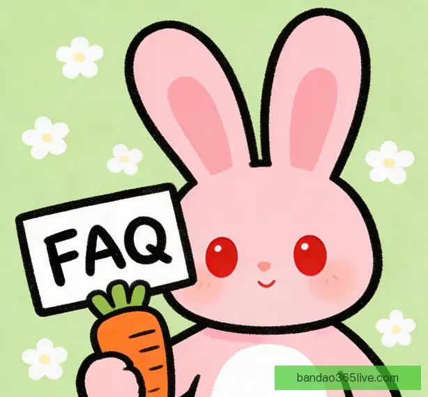 常见问题
